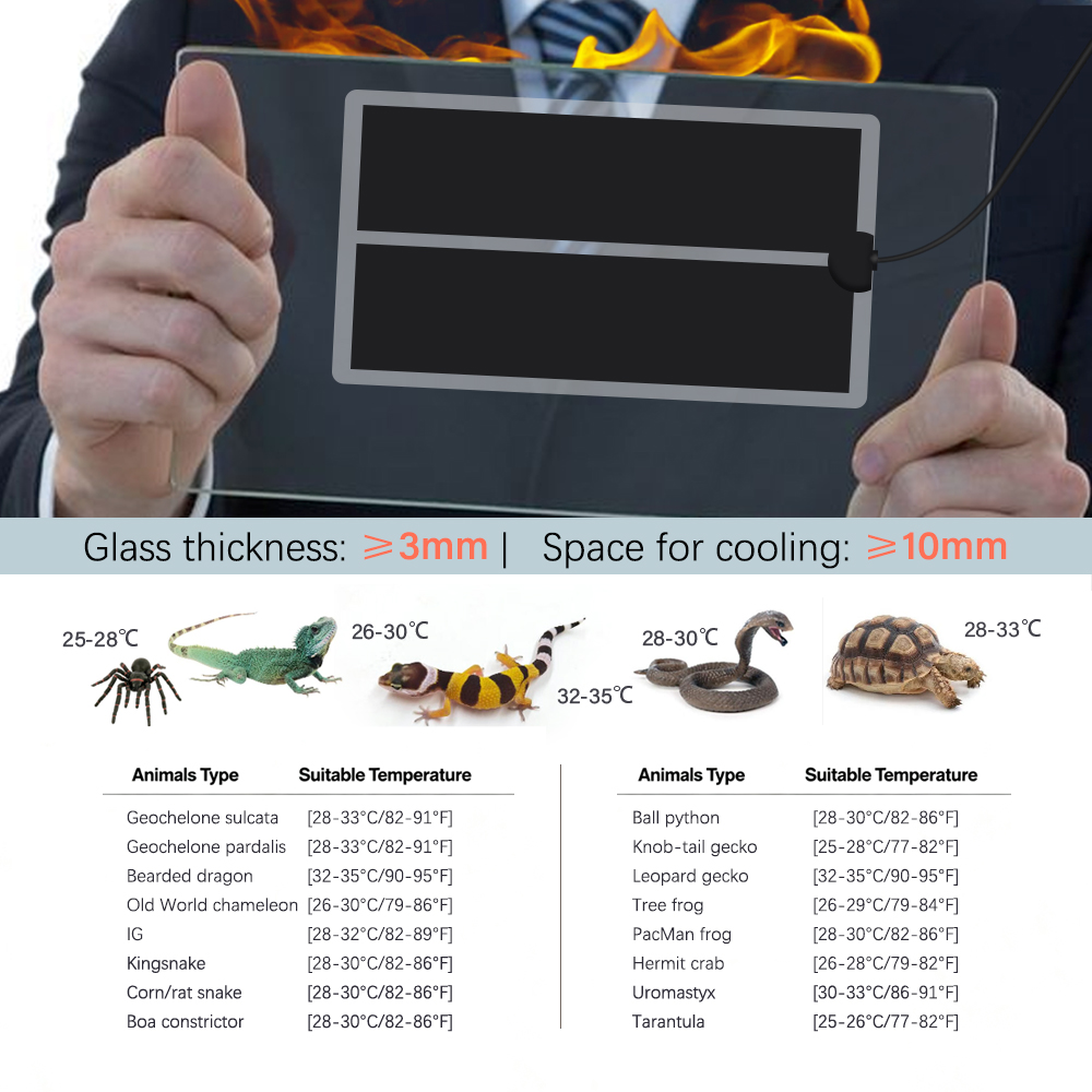 45W-5W 2/4/6H Timing Haustier  – Seedling Heat Mat Bewertung und Preis